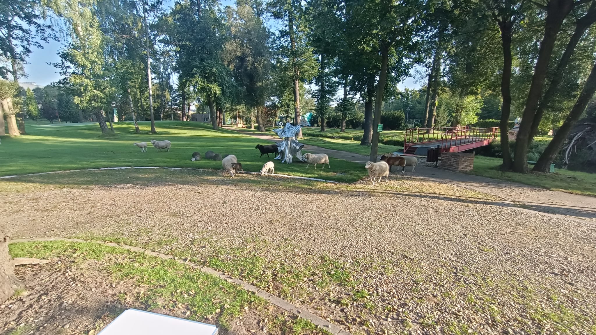 Stanowisko driving range na polu Arkadia w Pabianicach - równa trawa do uderzeń, oznaczenia odległości w głębi, drzewa w tle